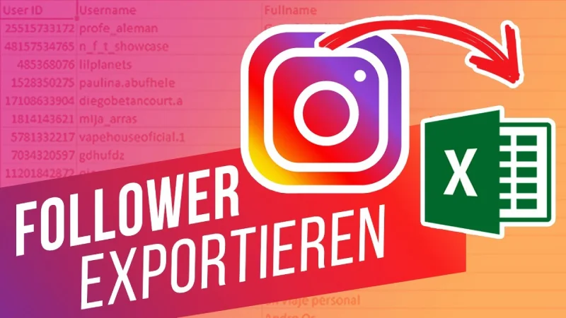 export-instagram-seguidores